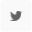 twitterIcon